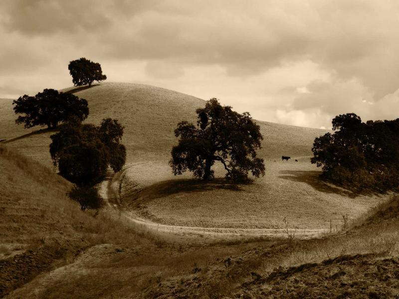 android screenshot 3