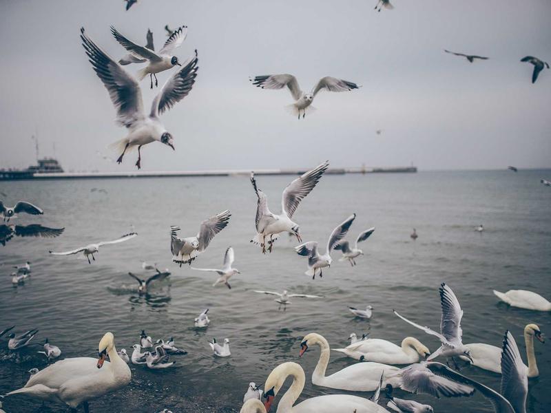 sudoku timer mode screenshot 4